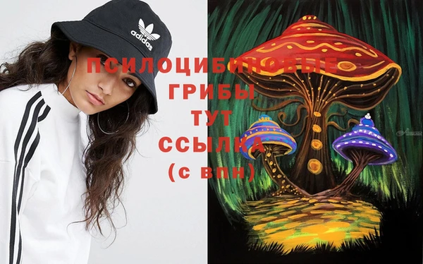соль курить ск Краснослободск