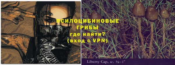не бодяженный Краснотурьинск