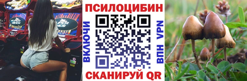 Галлюциногенные грибы Psilocybe  Купить где  Белоусово 